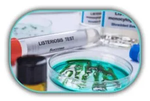 Listeria Monocytogenes Aranması