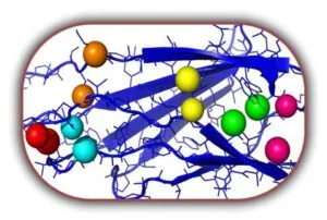 Protein Analizi