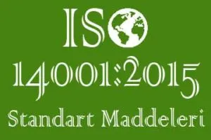 iso 14001 standart maddeleri