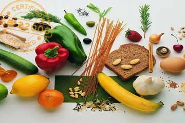 iso 22000 belgesi amaçları