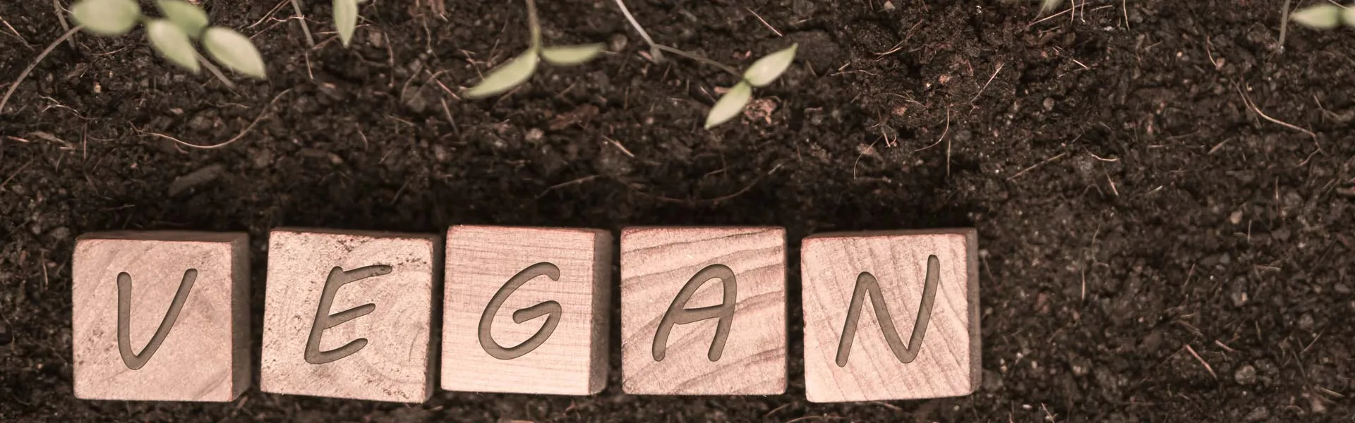 vegan-belgesi-anasayfa